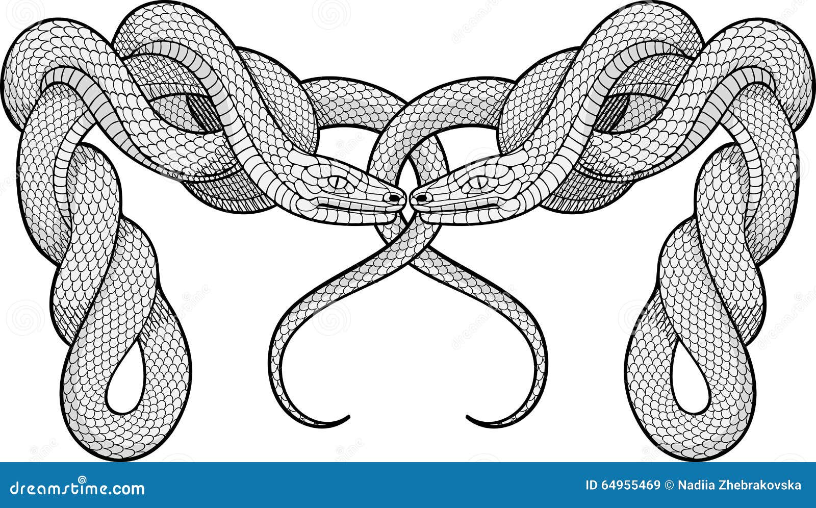 Intertwined Rope Stock Illustrations – 590 Intertwined Rope Stock