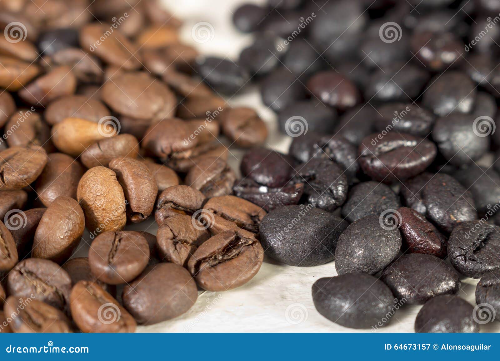 Two Types of Roasted Coffee Beans Stock Image Image of brewed
