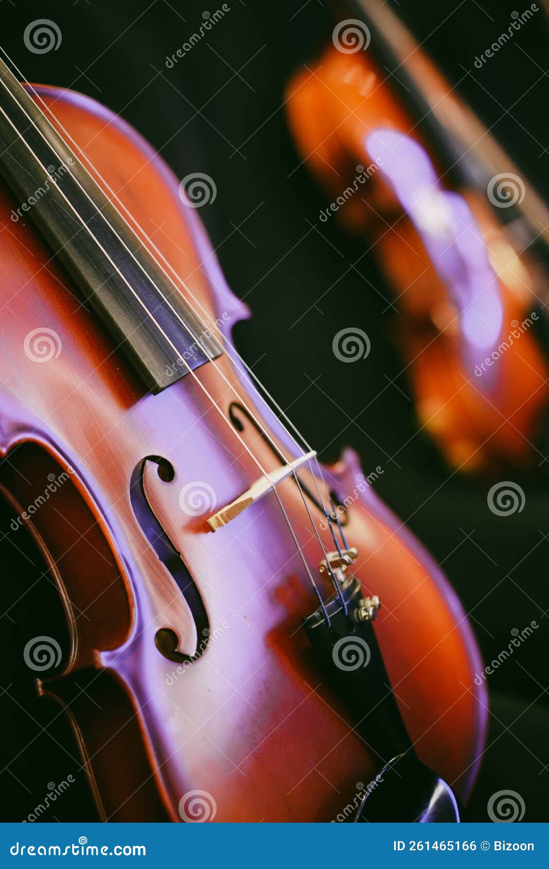 Two violins on some chairs stock photo. Image of concentrating 261465166