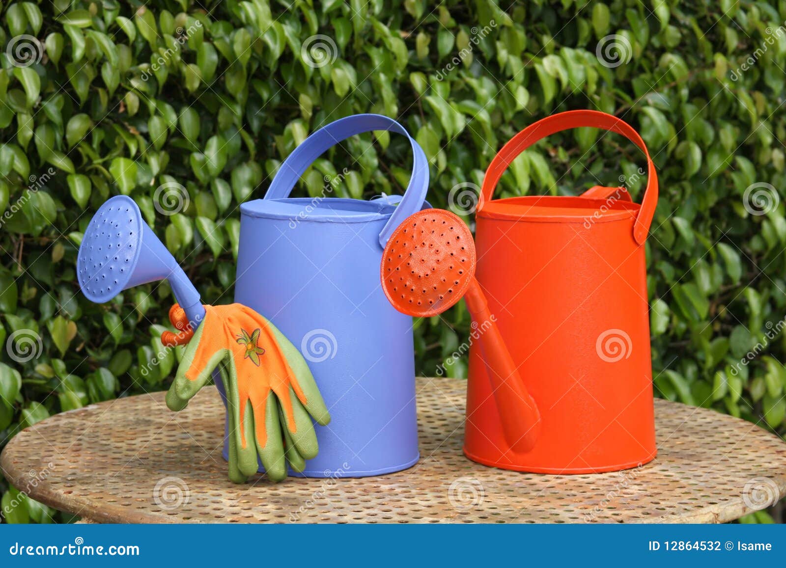 Two Watering Cans and Garden Gloves Stock Photo Image of colorful