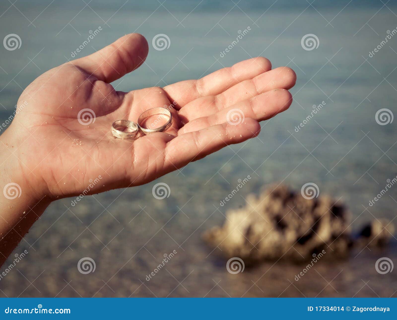 Two wedding rings stock photo. Image of hand, wedding 17334014
