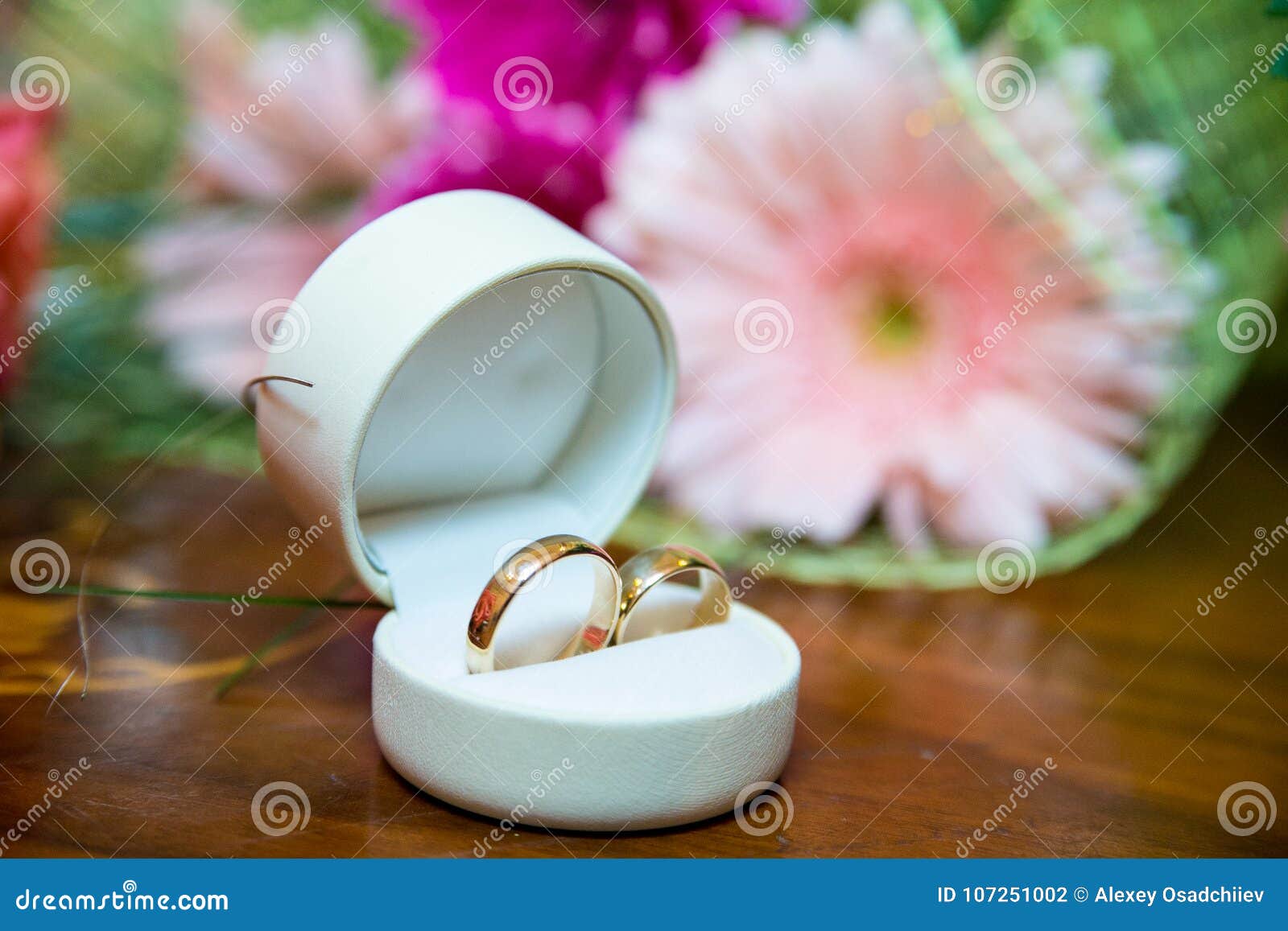 Two wedding rings stock photo. Image of honeymoon, card - 107251002