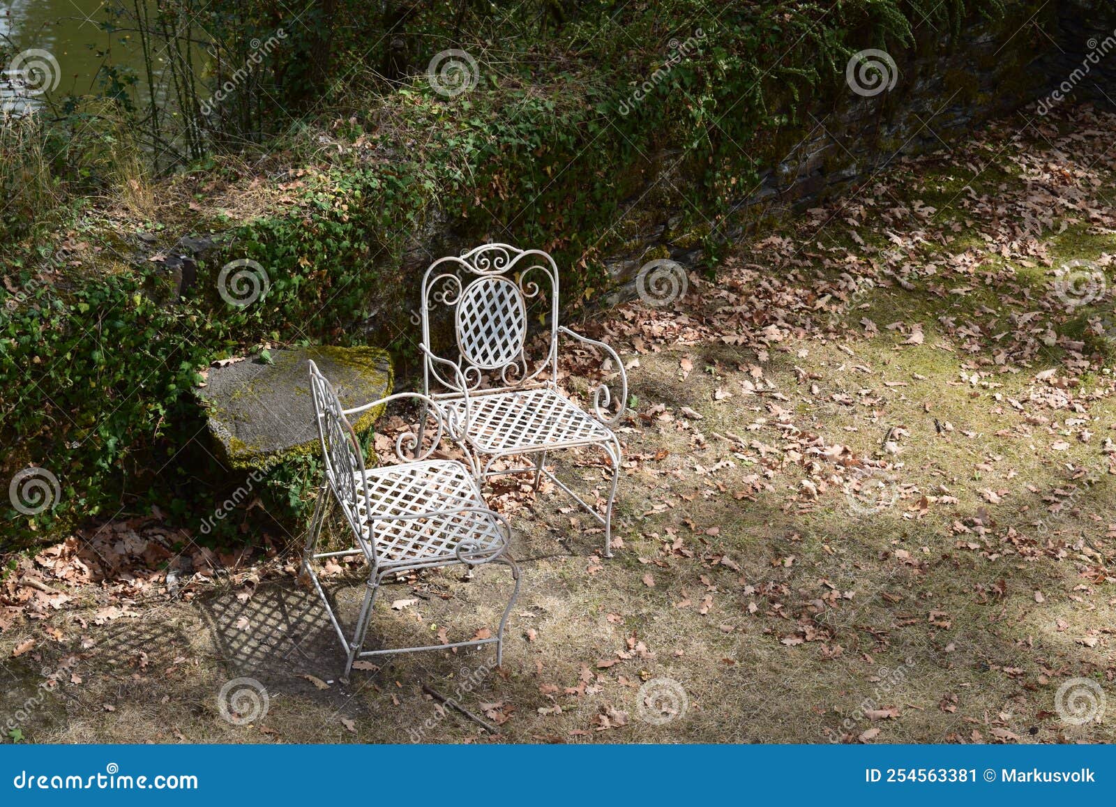 Two old chairs stock image. Image of forest, plant, wildlife 254563381