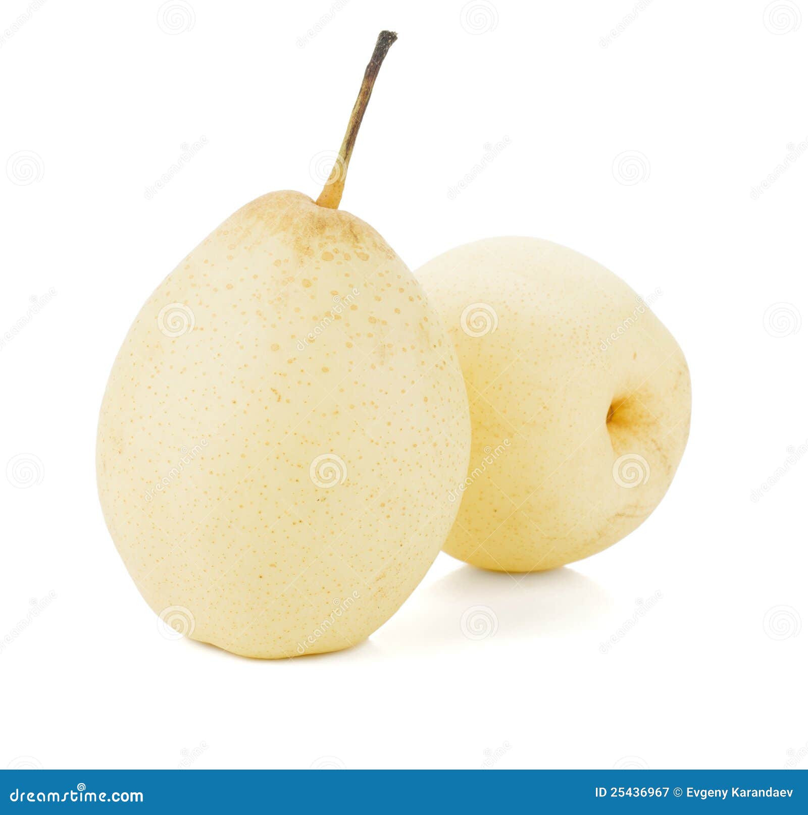 Two white pears stock image. Image of fruit, diet, shadow 25436967
