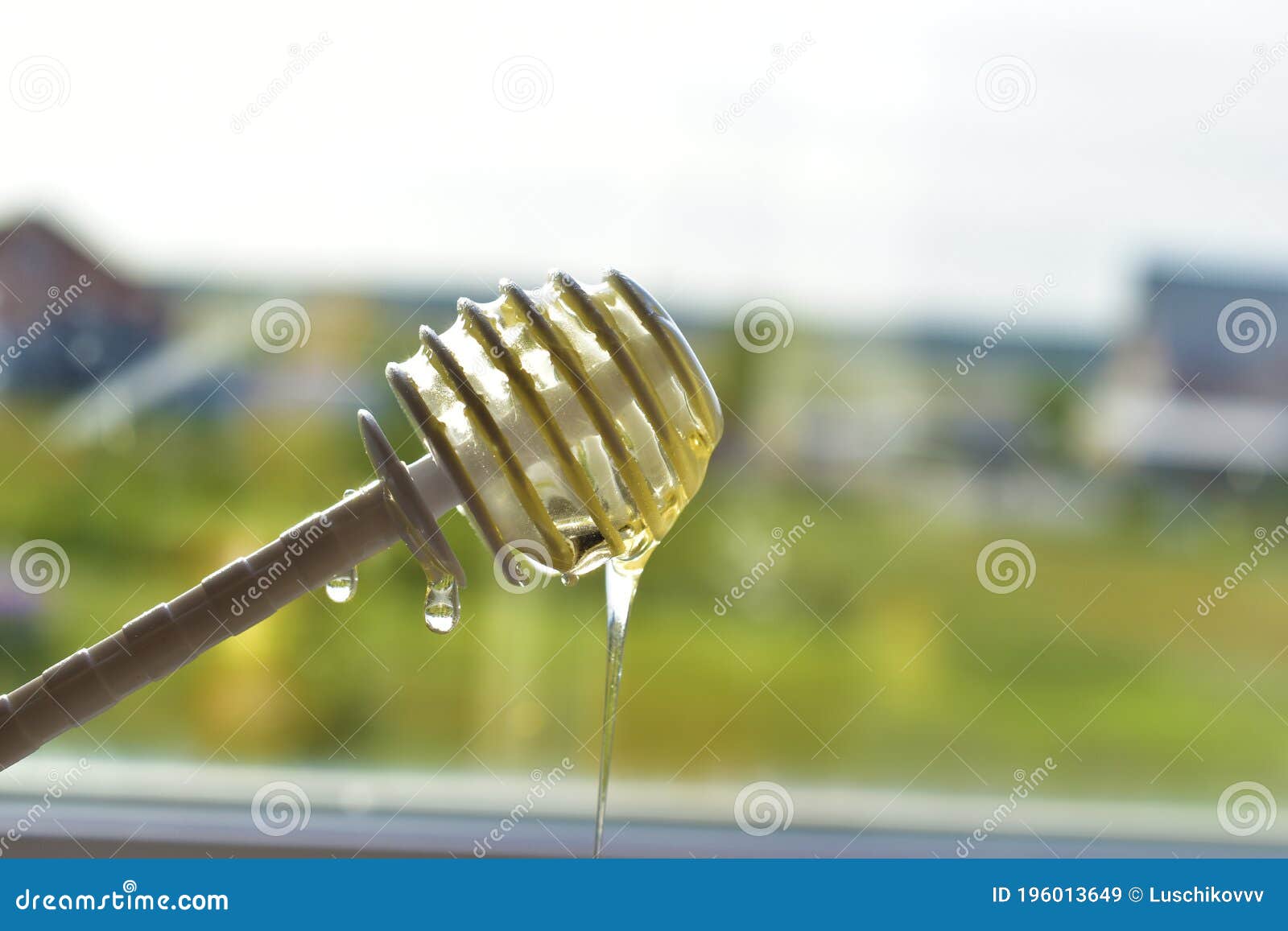 Two White Plastic Honey Spoons Dipped In Nectar Stock Image Image of