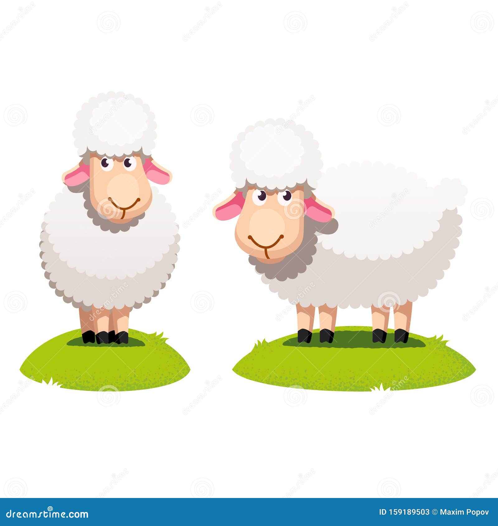 Two White Sheep Standing on Green Lawn Stock Vector - Illustration of  grass, isolated: 159189503