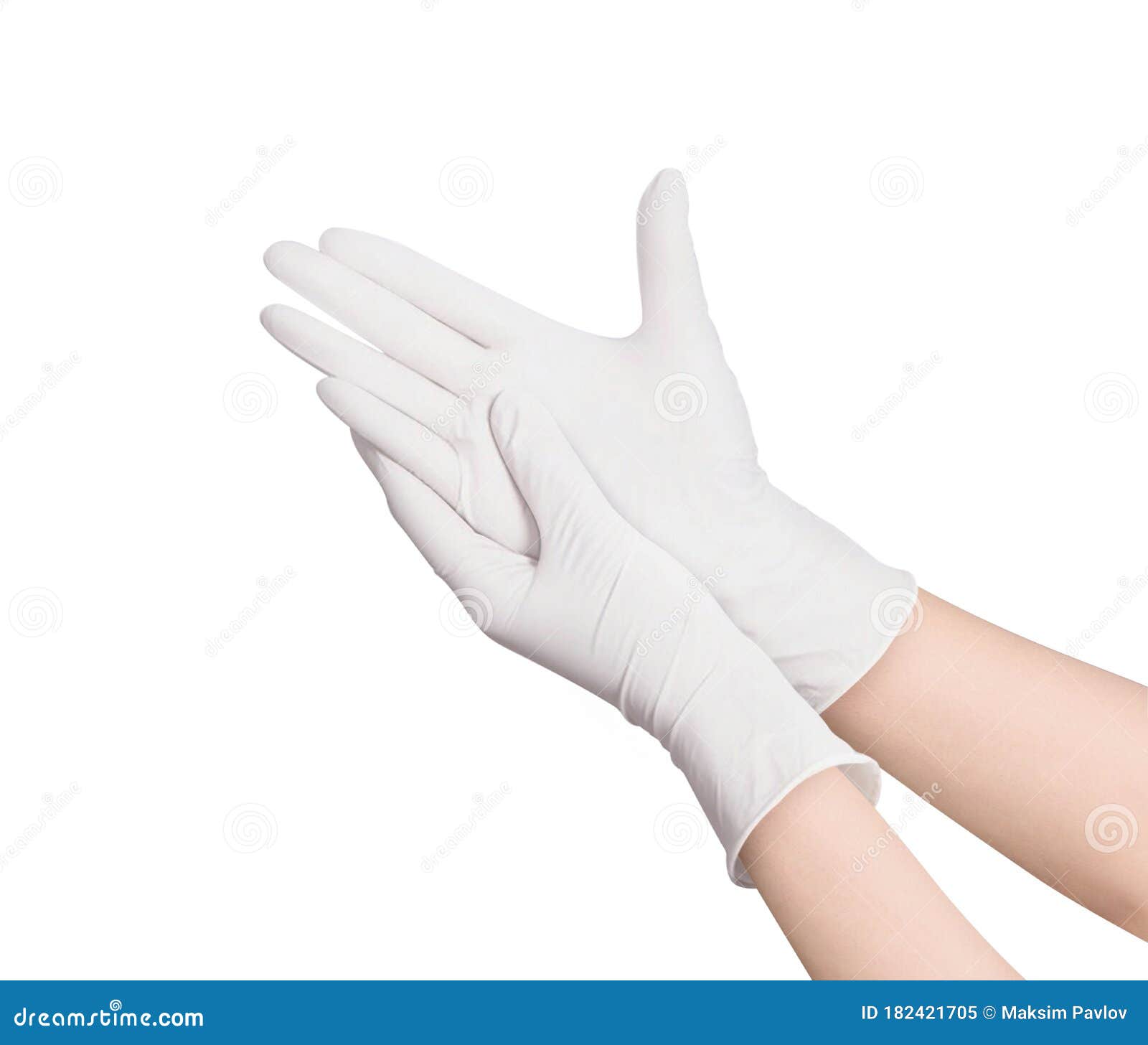 two white surgical medical gloves  on white background with hands. rubber glove manufacturing, human hand is wearing