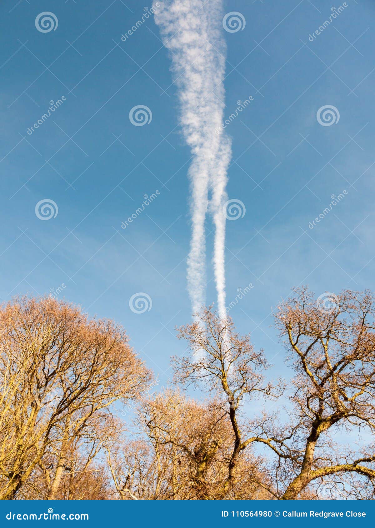 My Image 16