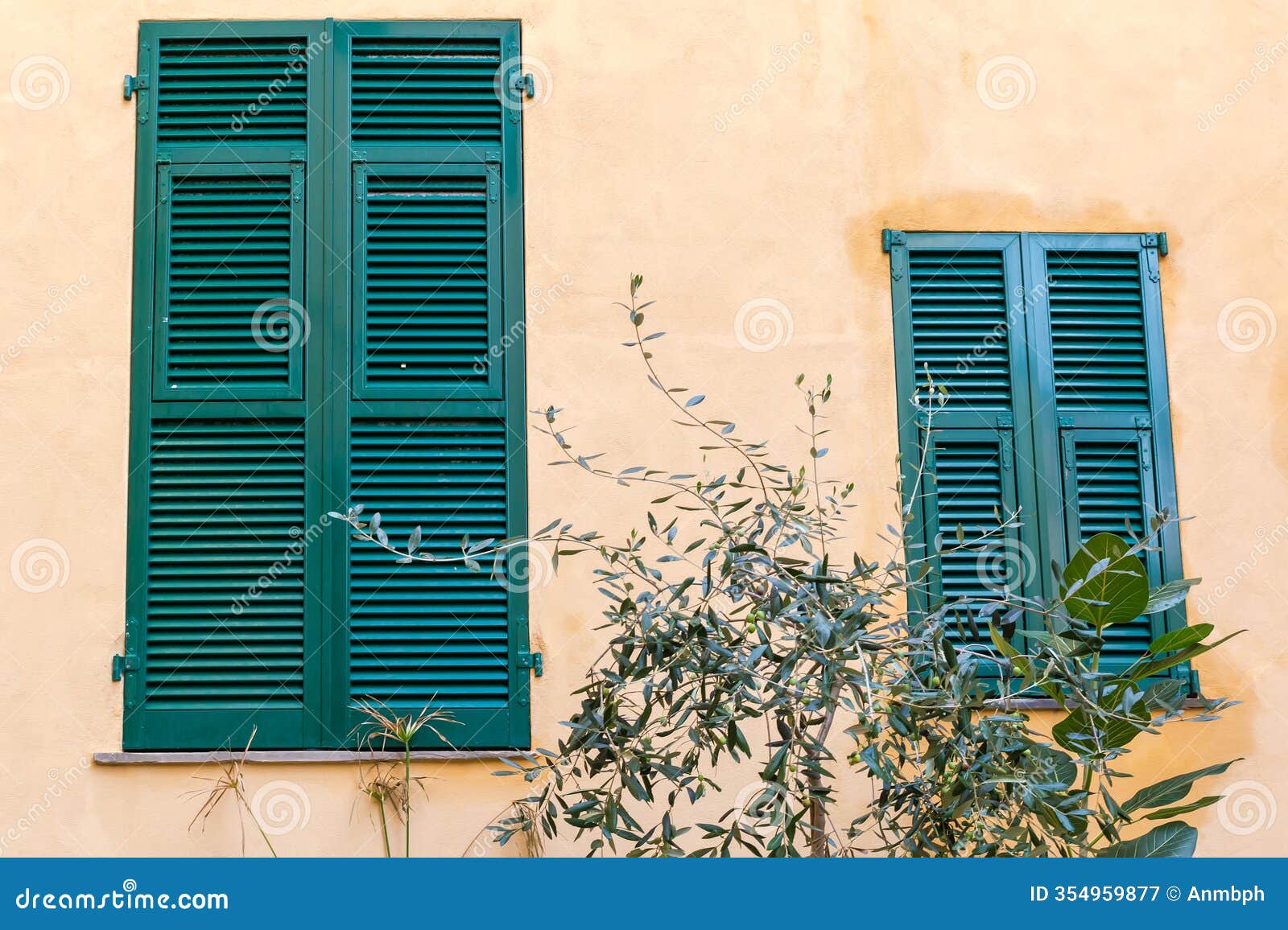 two windows different sizes covered with green wooden exterior shutters