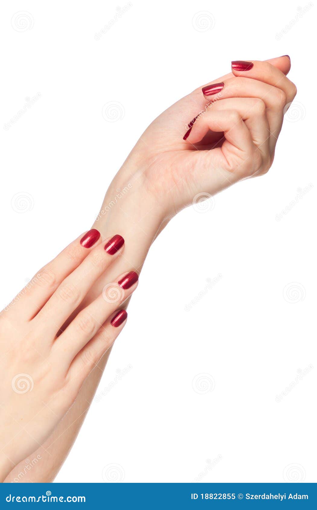 two woman hands with red fingernail