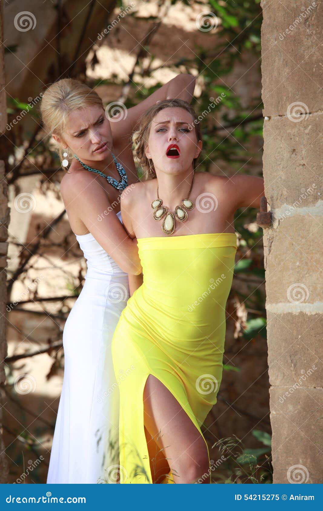 Girls Fighting In Dresses