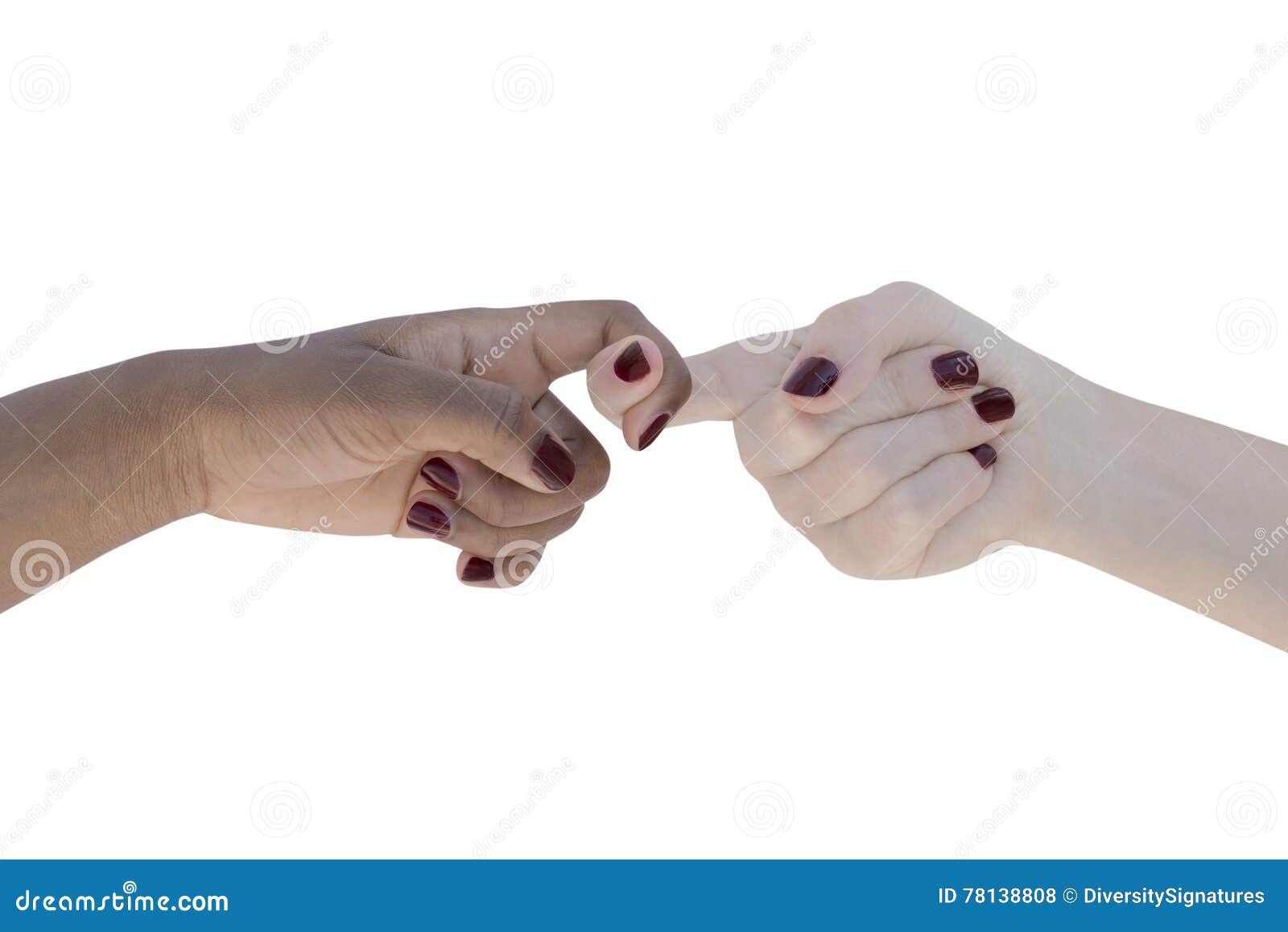 Two Women Joining Theirs Hands, Isolated Stock Photo Image of hand