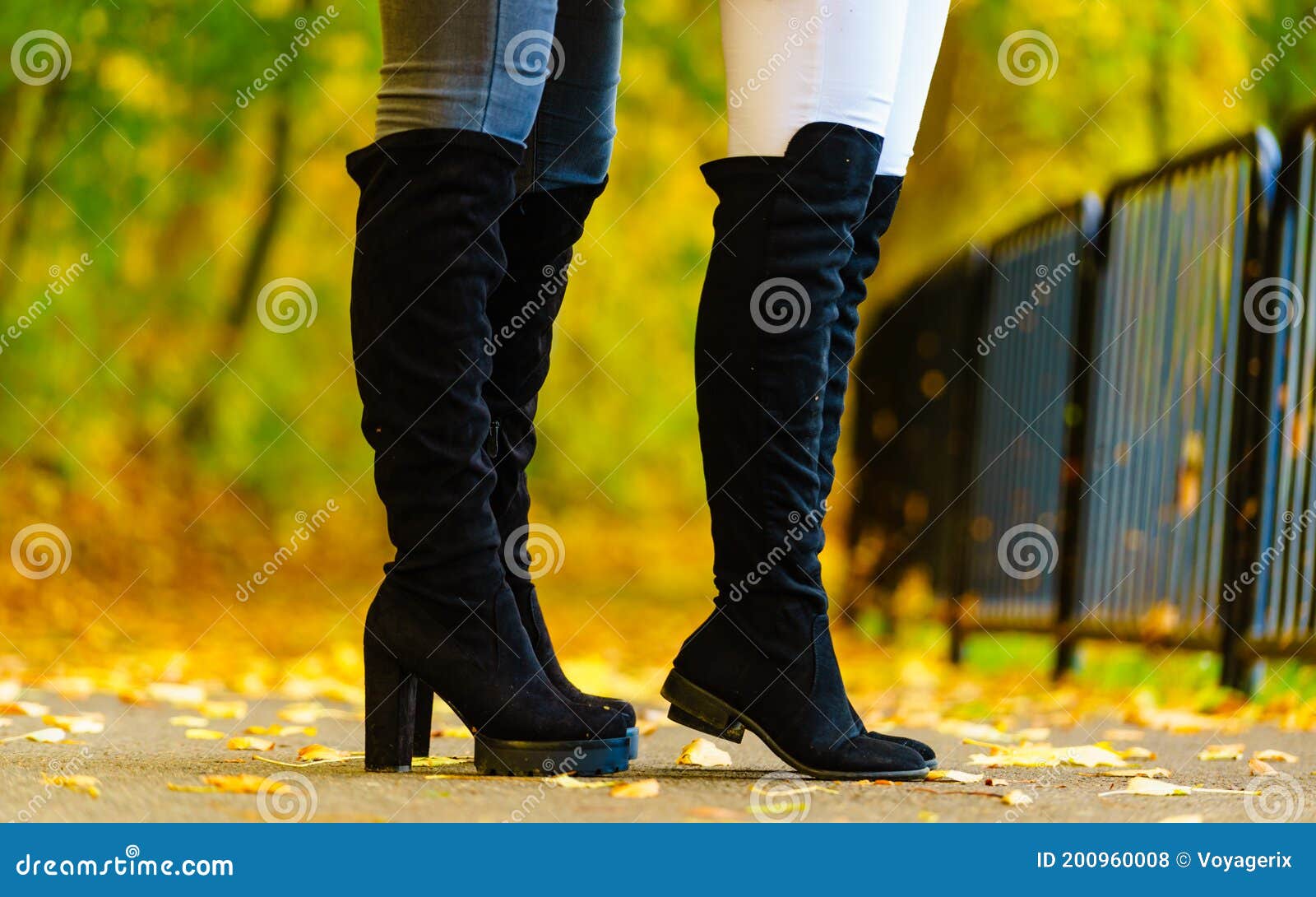 Two Women Wearing Black Knee High Boots Stock Photo - Image of shoes ...