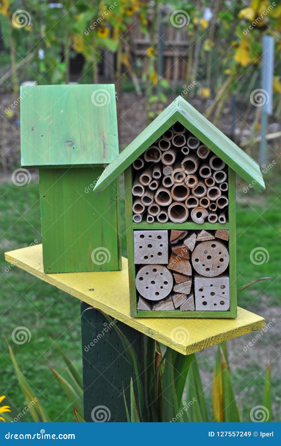 Two wooden bee boxes stock image. Image of hive, spring 127557249