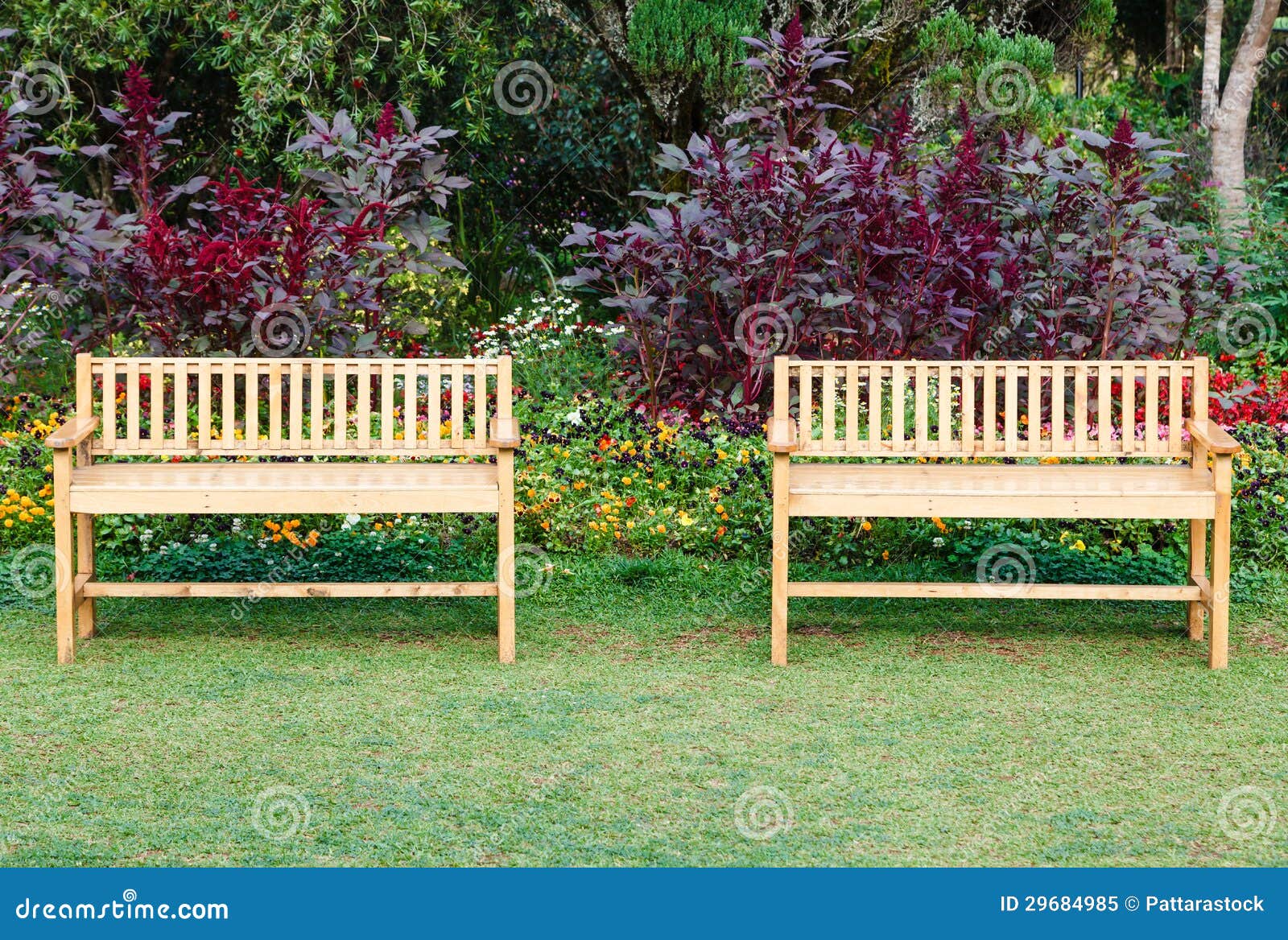 Two Wooden Chairs in the Park Stock Image Image of outdoor, tranquil