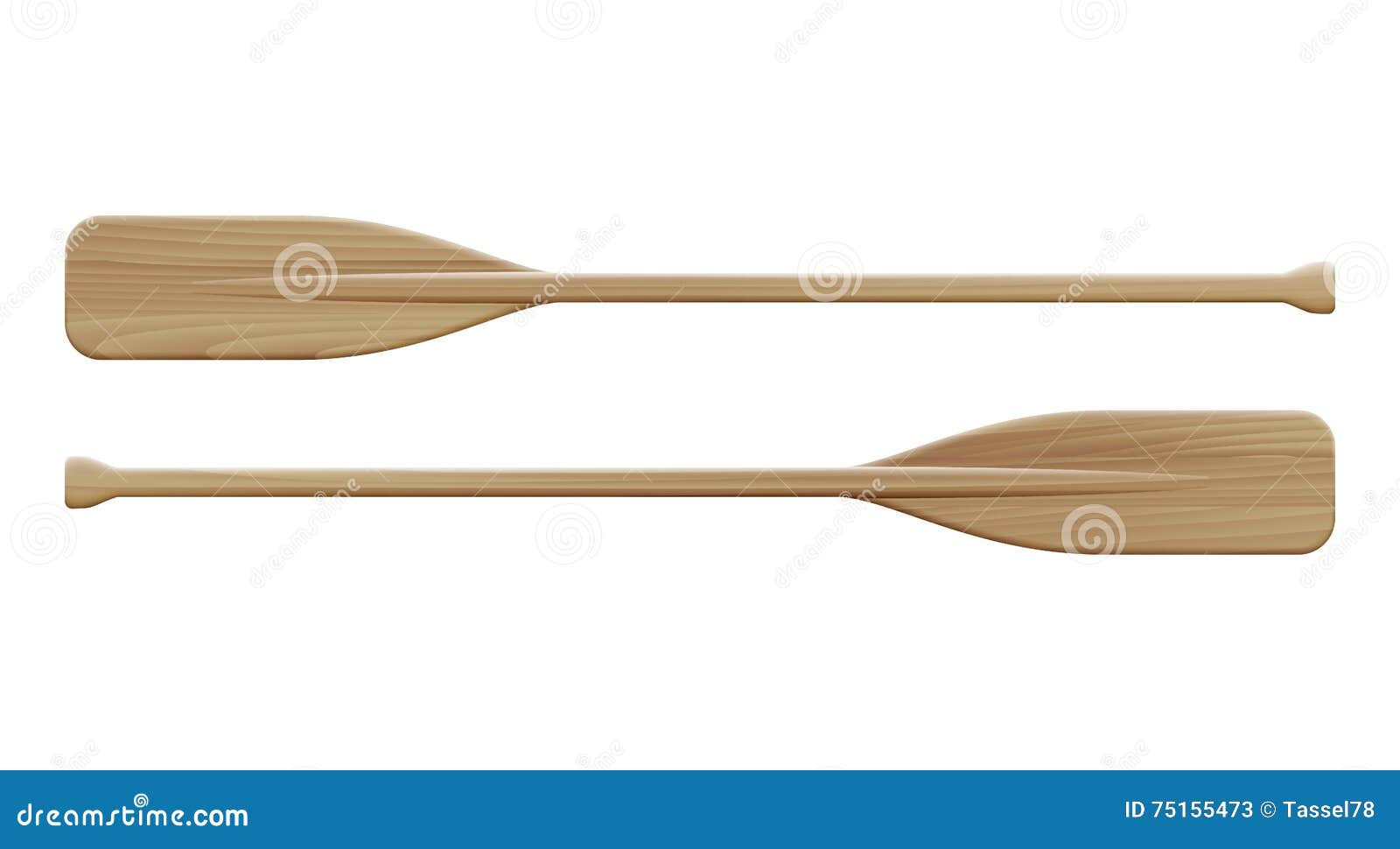 two wooden paddles. sport oars.