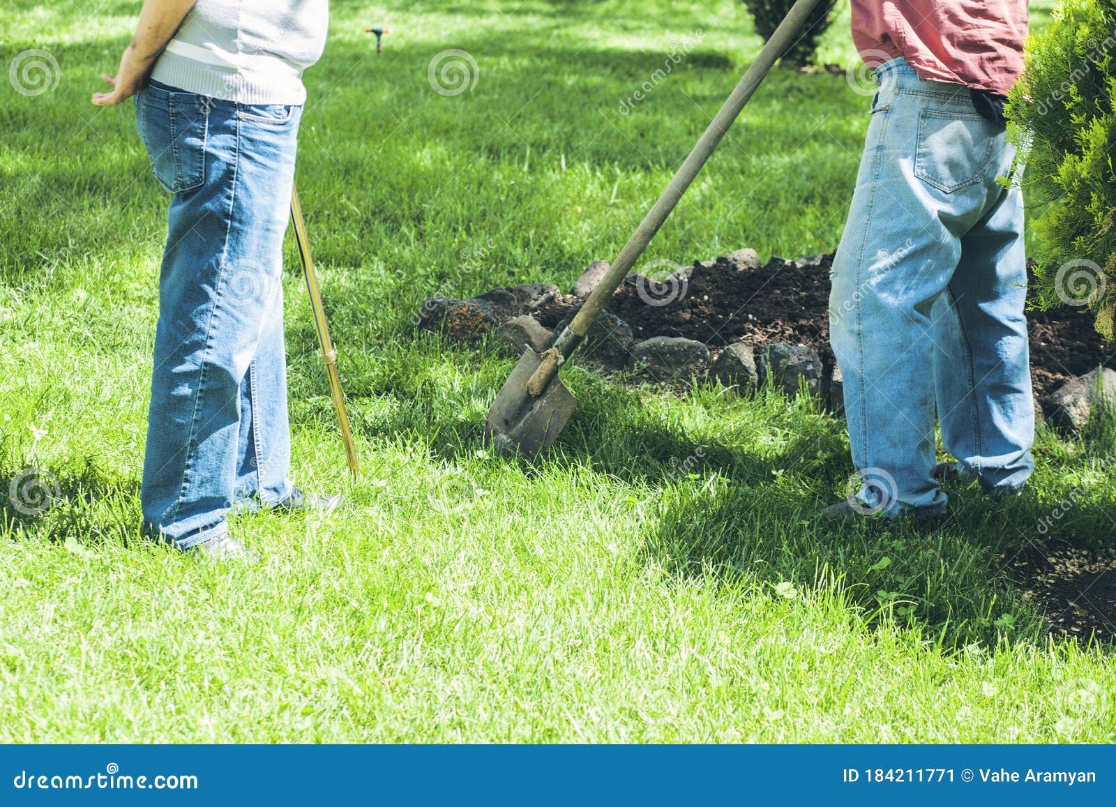 Two Workers are Working with Shovels Stock Image - Image of grass ...