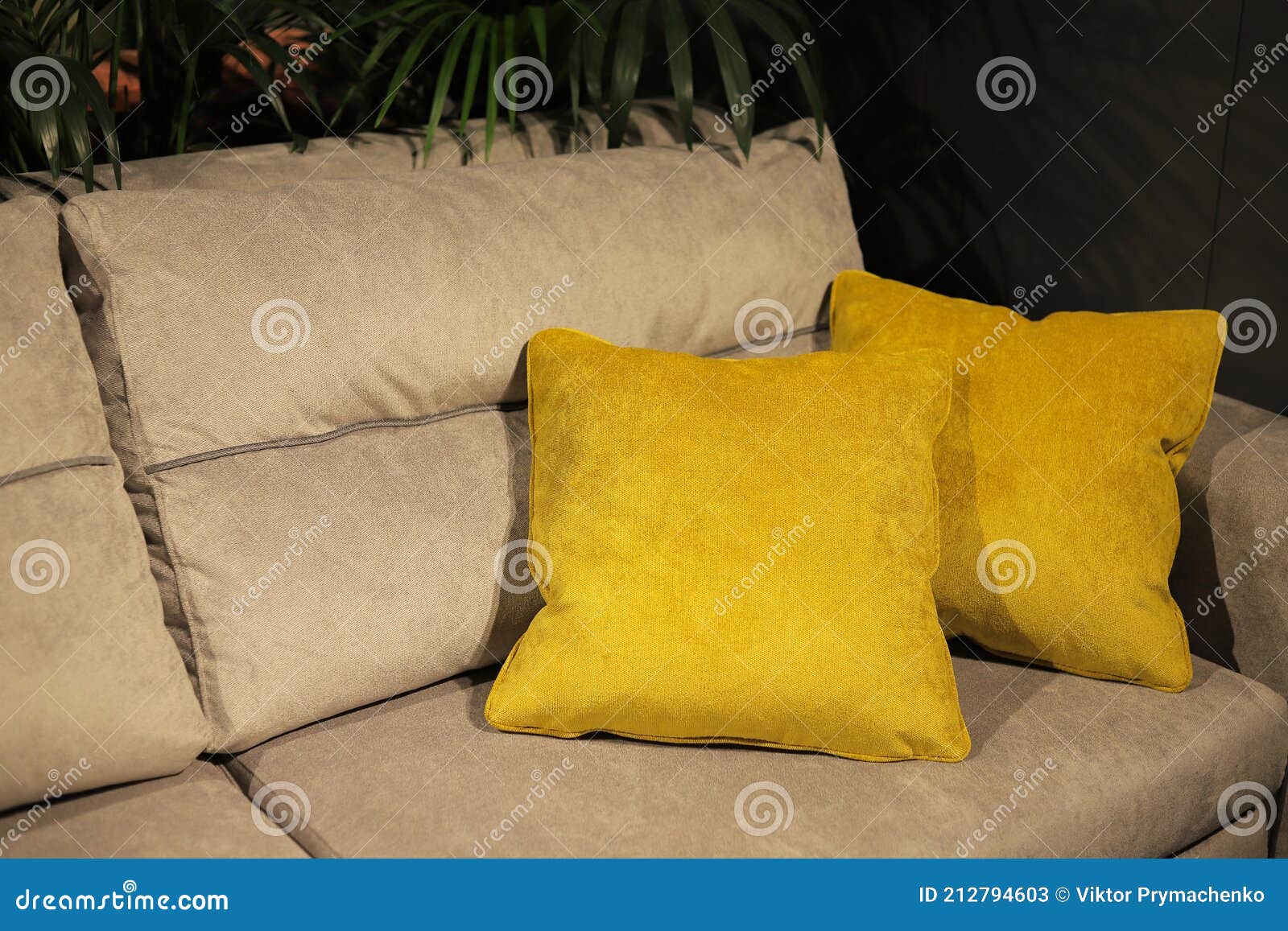 Two Yellow Decorative Pillows on the Sofa Stock Image Image of room