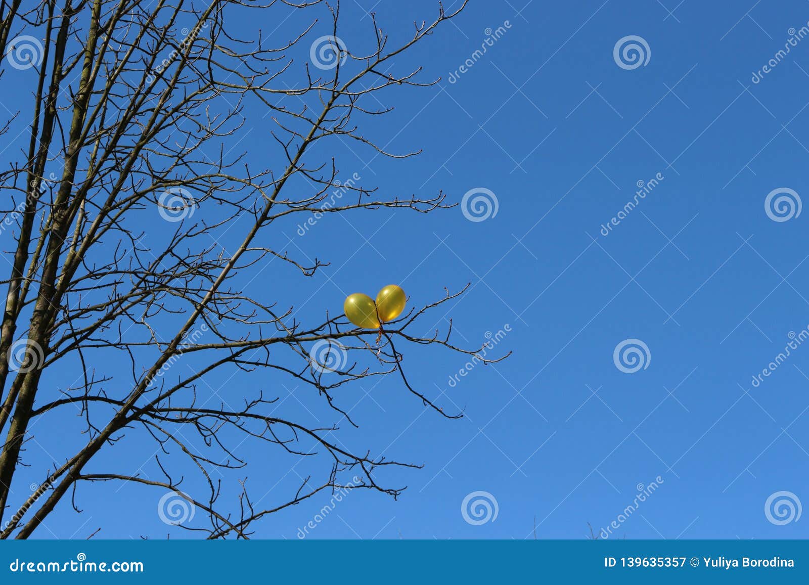 blue spheres blue and yellow blue spheres blue and yellow