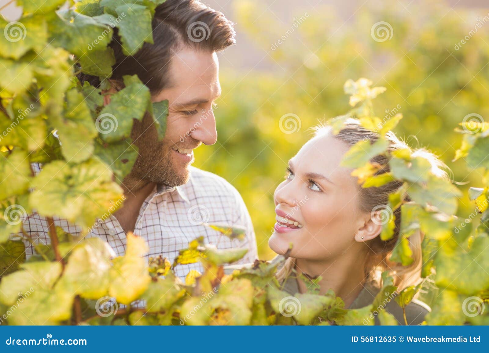 two young happy vintners looking up from behind grape plants