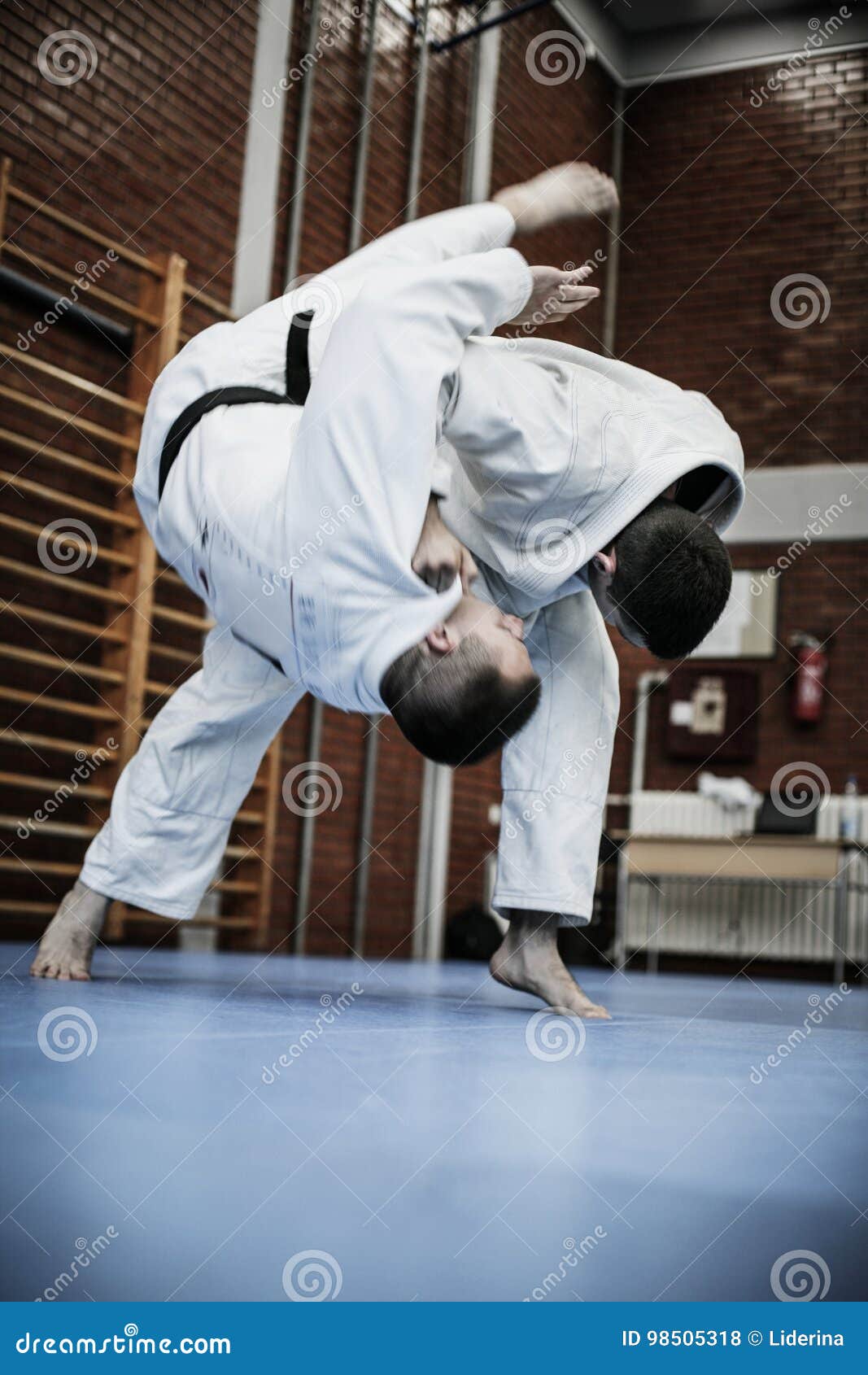 Two Young Males Practicing Judo Together. Stock Photo Image of arts