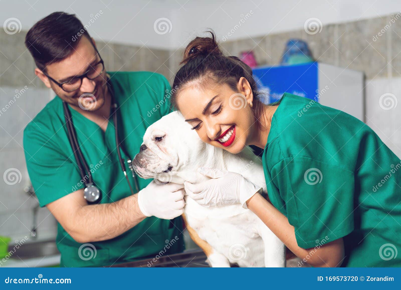 Two Veterinary Doctors With Dog During The Examination In Veterinary
