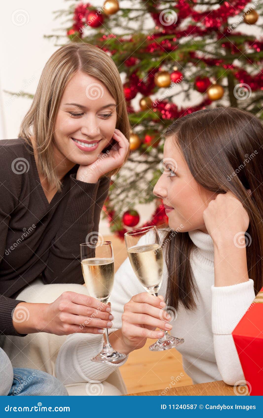 Two Young Women Toasting with Champagne Stock Image Image of