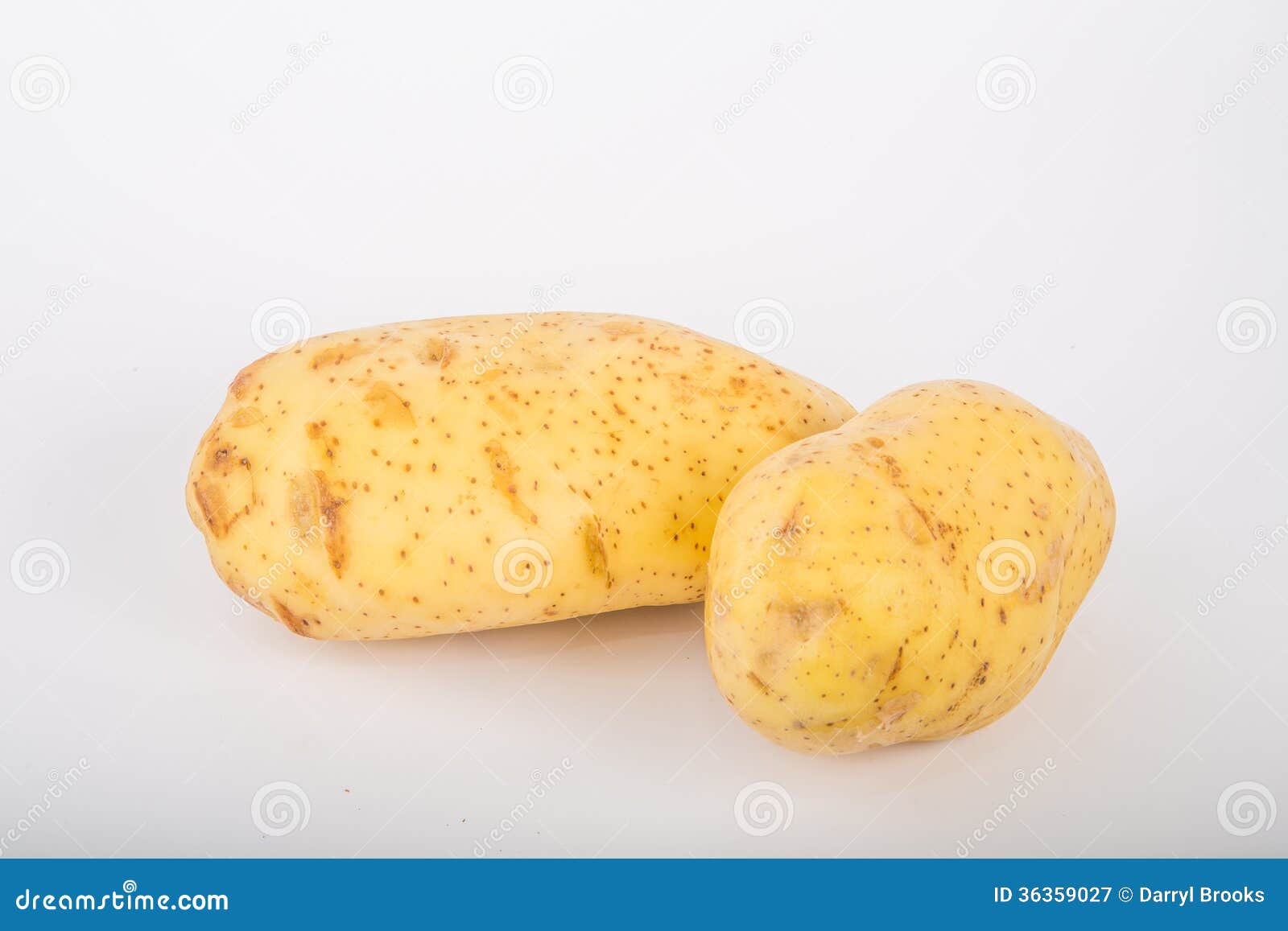Two Yukon Gold Potatoes stock image. Image of fresh, nutrition 36359027
