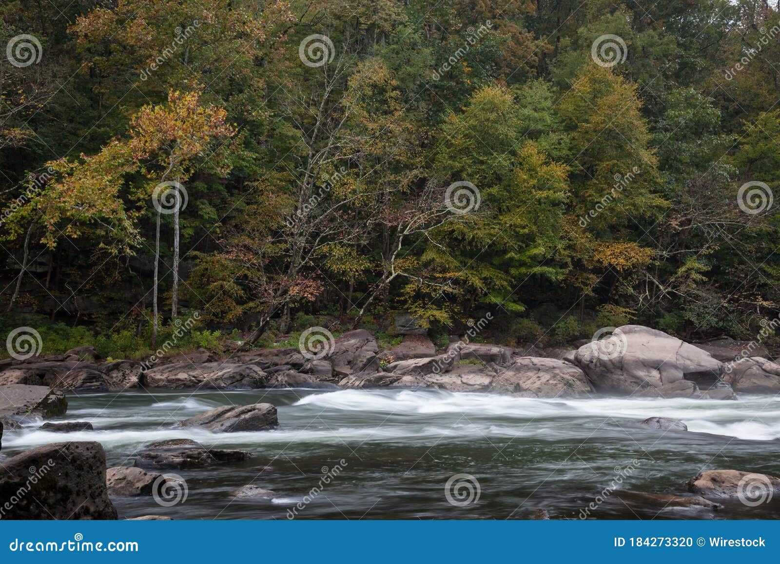 Tygart Valley River with Long Exposure Surrounded by Trees at Daylight