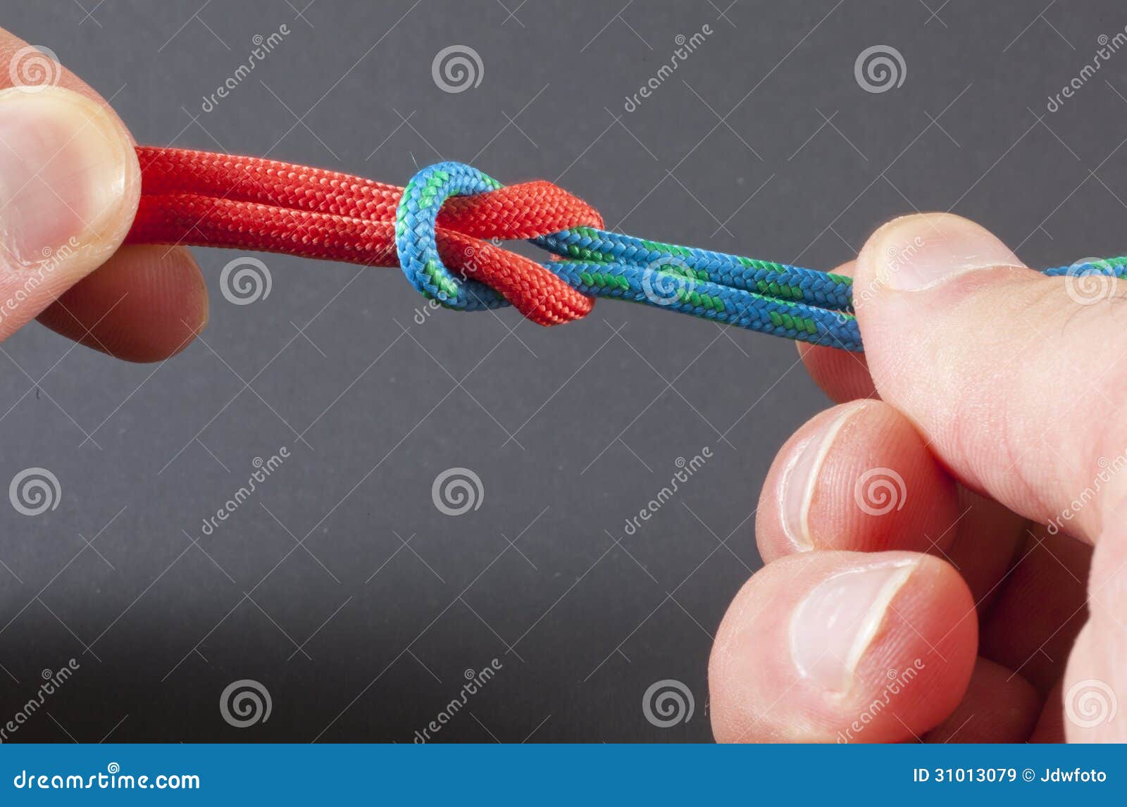 Tying a Square Knot stock image. Image of hand, square 31013079
