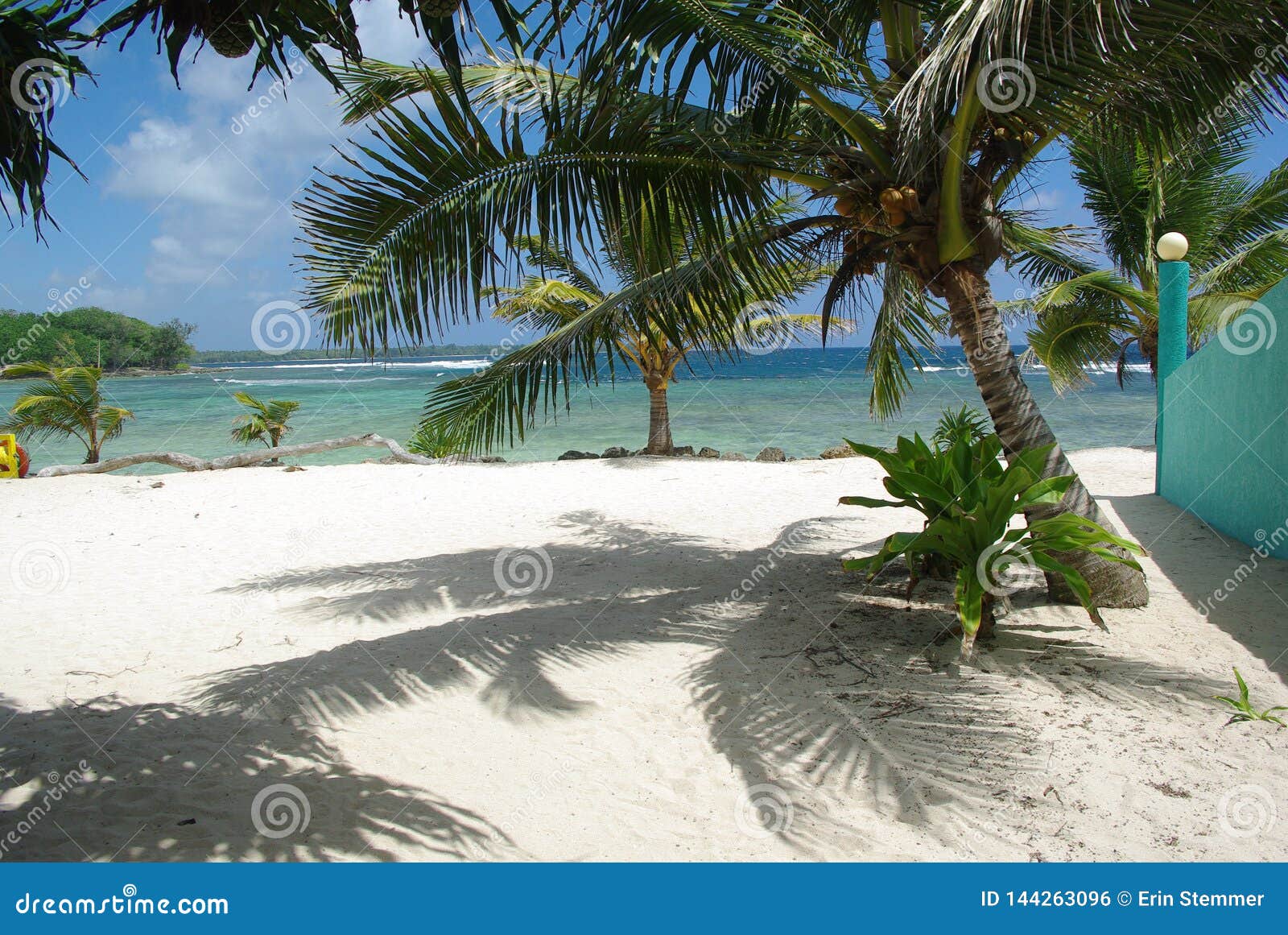 Tylny kopni?cie relaksuje. Uroczy widok Vanuatu magistrali plaża właśnie widok fale, drzewka palmowe i, uspokaja duszę
