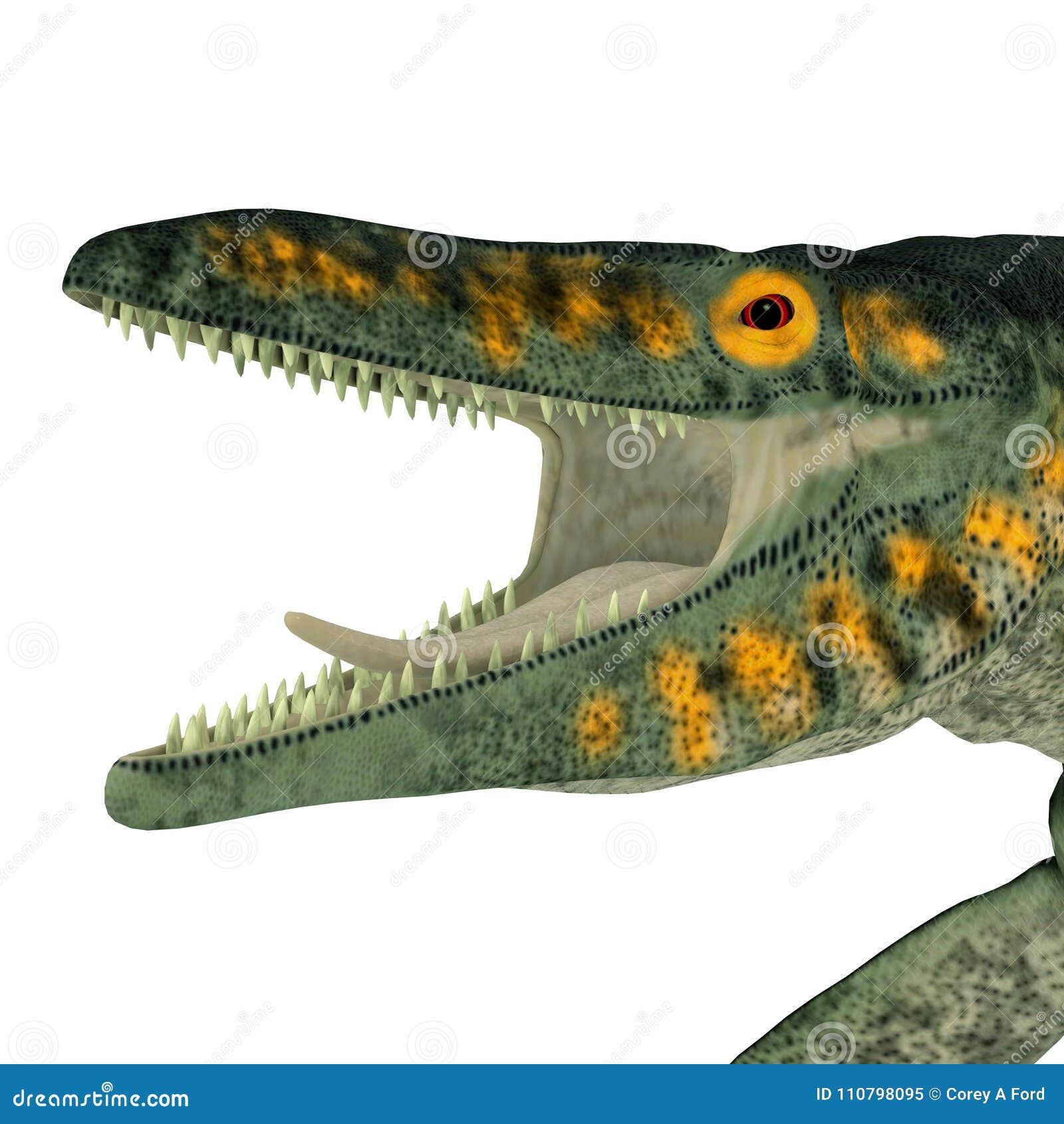 Tylosaurus Marine Reptile Head Stock Illustration