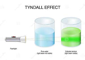 Tyndall Cartoons Illustrations Vector Stock Images 35 Pictures To Tyndall Cartoons Illustrations Vector Stock Images 35 Pictures To