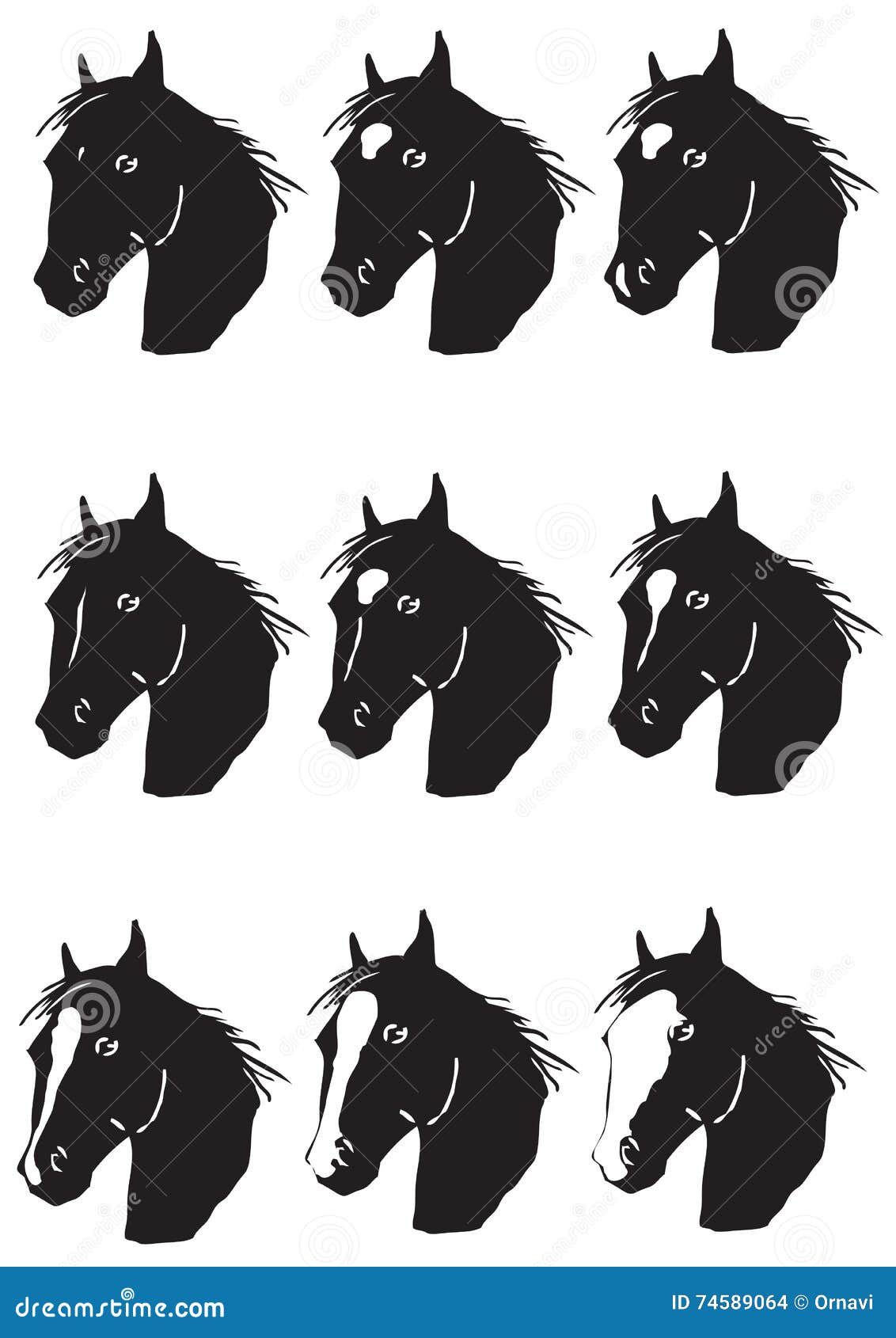 Type of Horse Head Facial Marking Stock Vector Illustration of