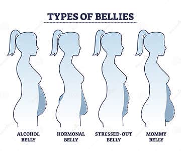 Types of Bellies with Abdominal Fat Problem in Stomach Area Outline ...