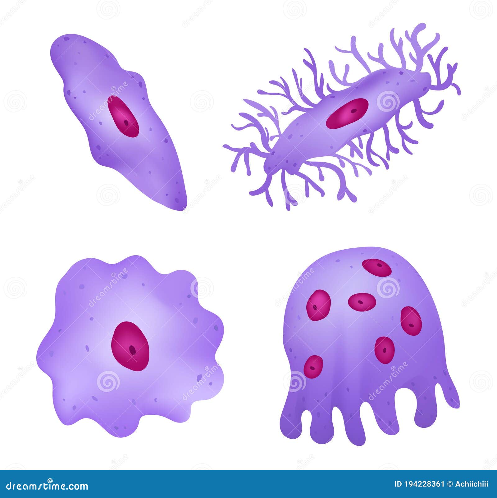 Osteocyte. Structure Of Bone Cell Vector Illustration | CartoonDealer