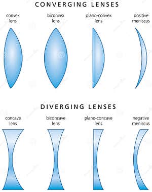 Planoconvex Clipart And Illustrations