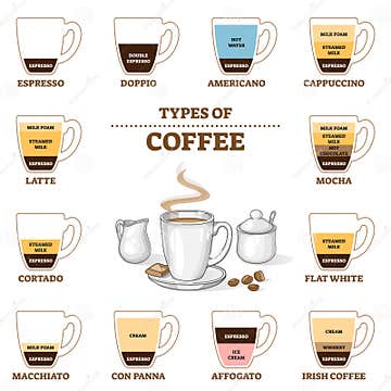 Types of Coffee and Cafe Preparation and Proportion Guide Outline ...