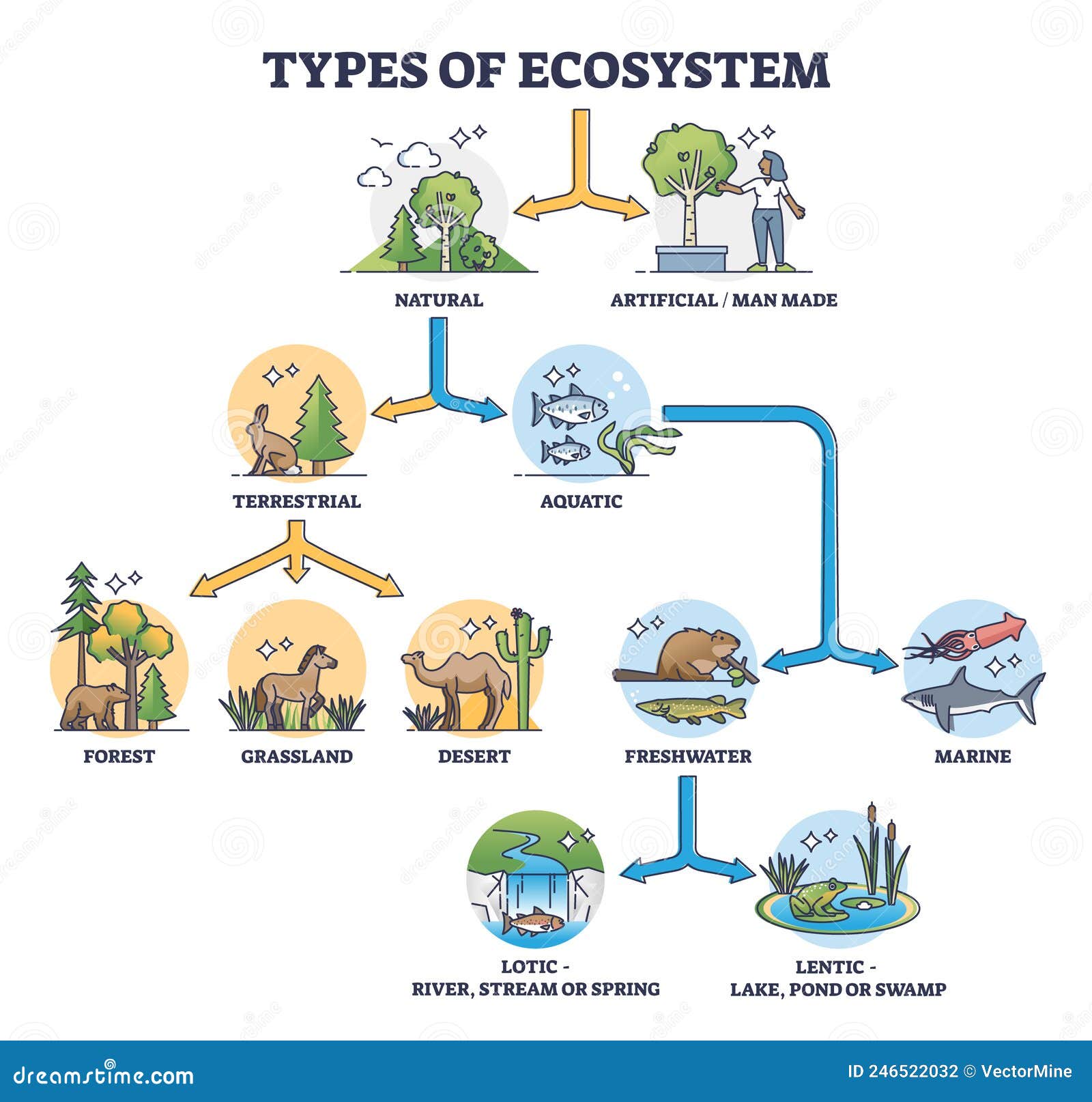 types of ecosystem with natural and artificial division outline diagram