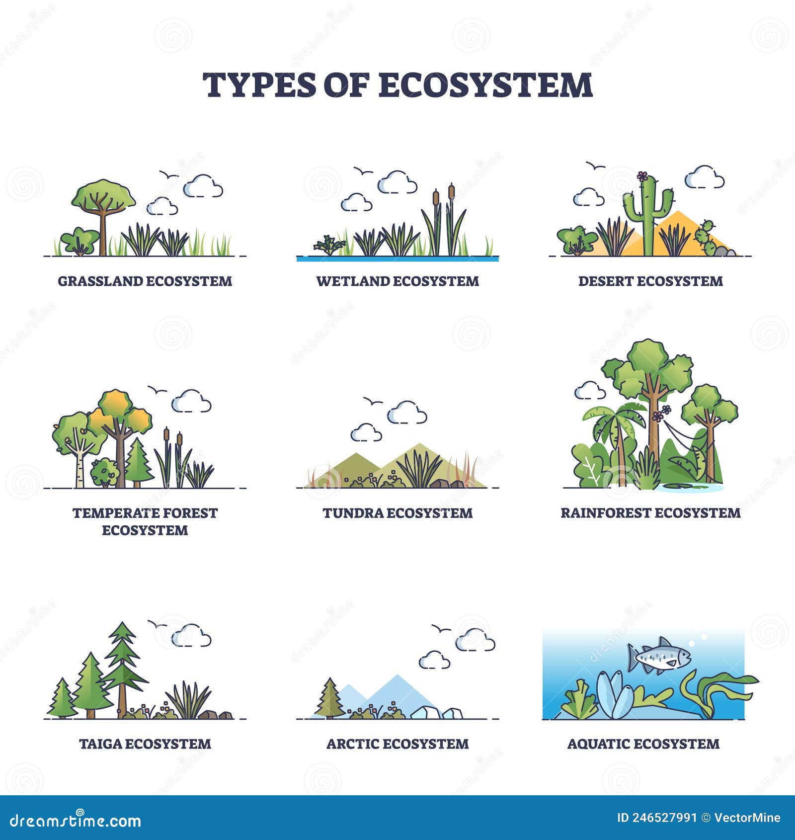 types of ecosystem with various climate habitats outline collection set