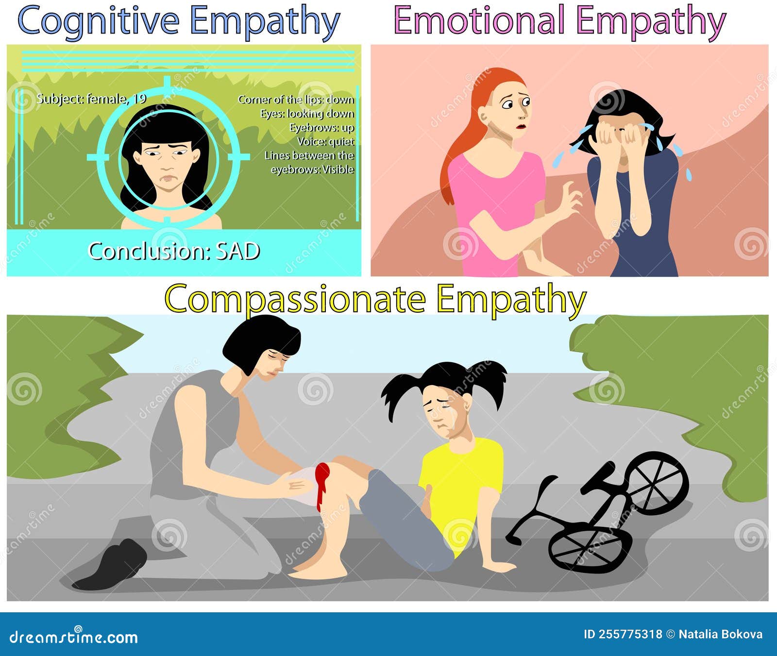 3 Types of Empathy Cognitive, Emotional and Compassionate Stock