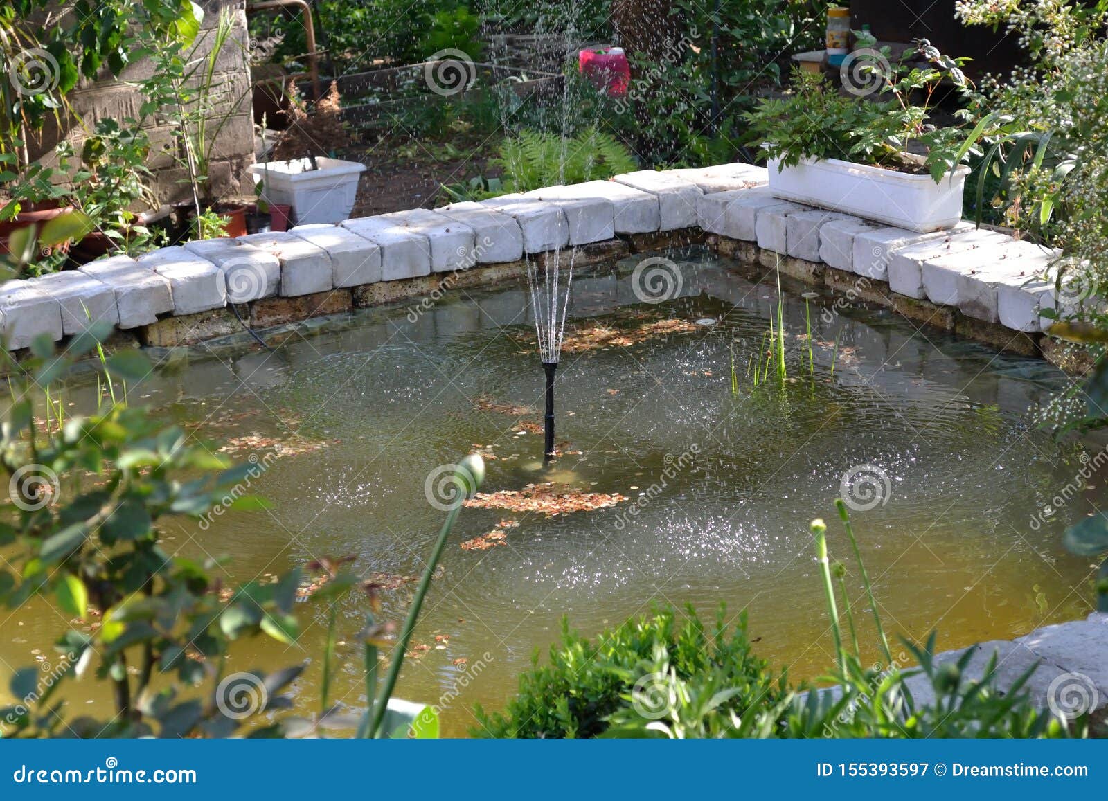 Types Of Garden Ponds With Fontain Stock Image Image Of