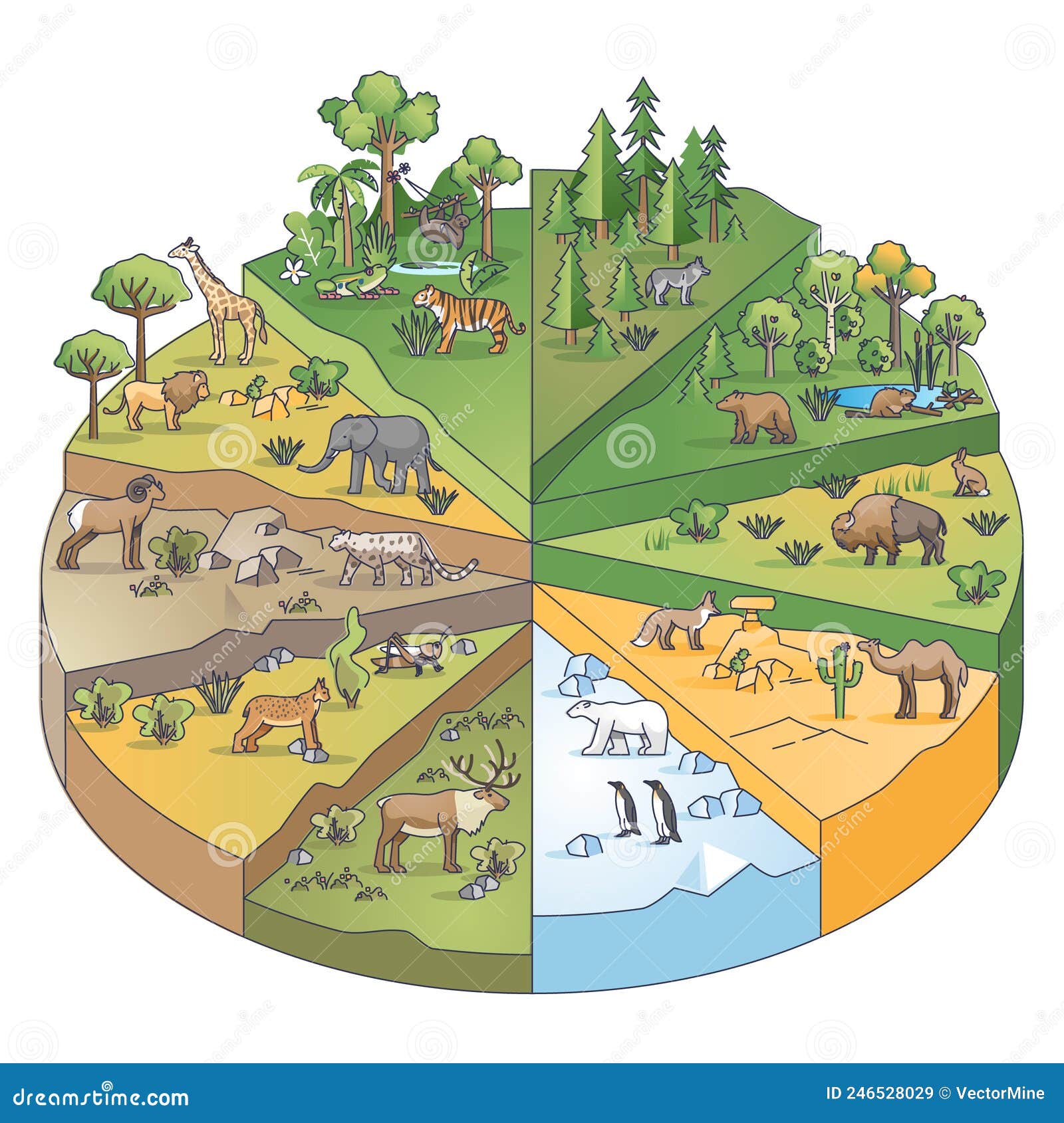 types of habitats and various ecosystems collection in pie outline diagram