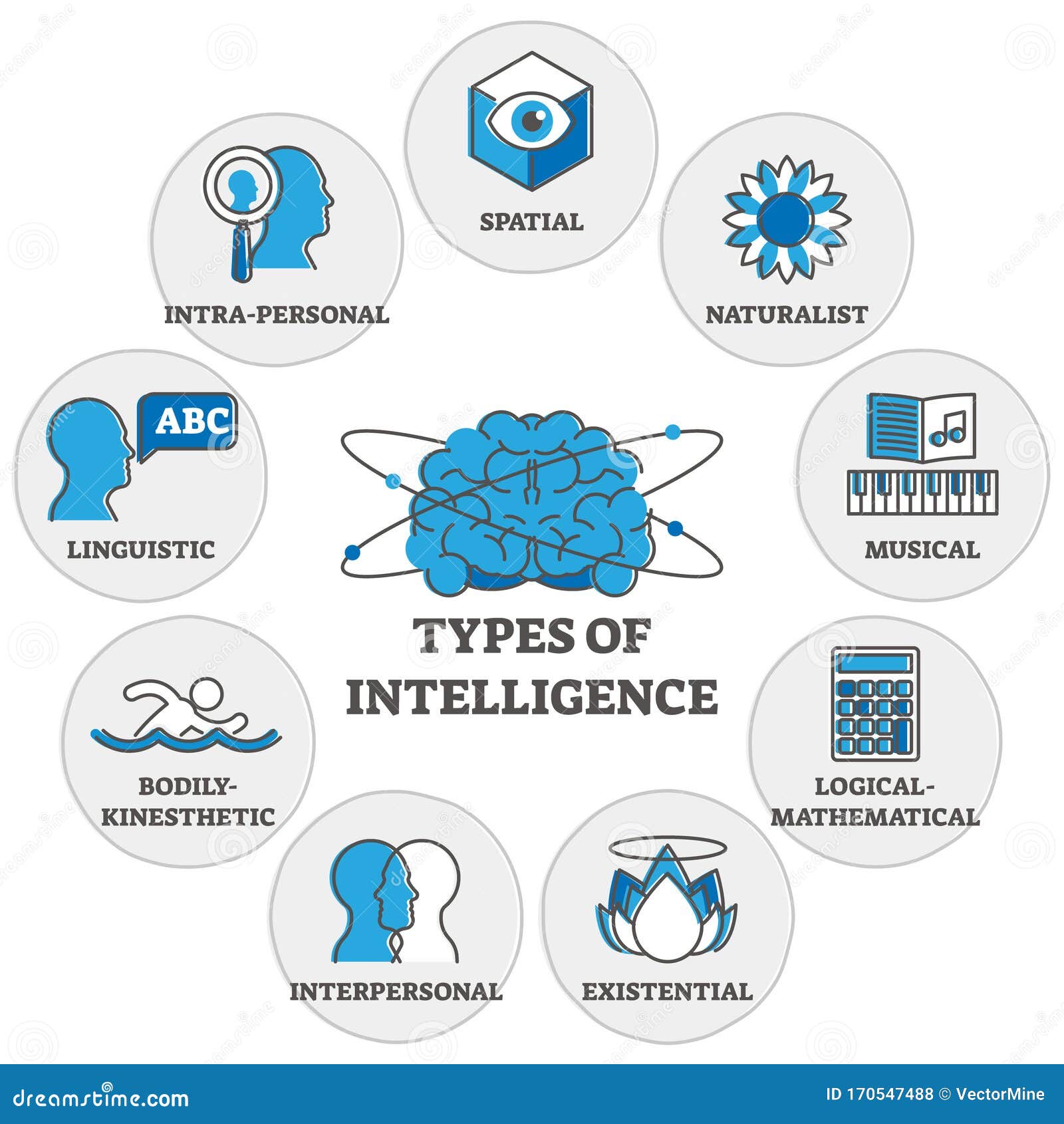 types of intelligence outline s diagram