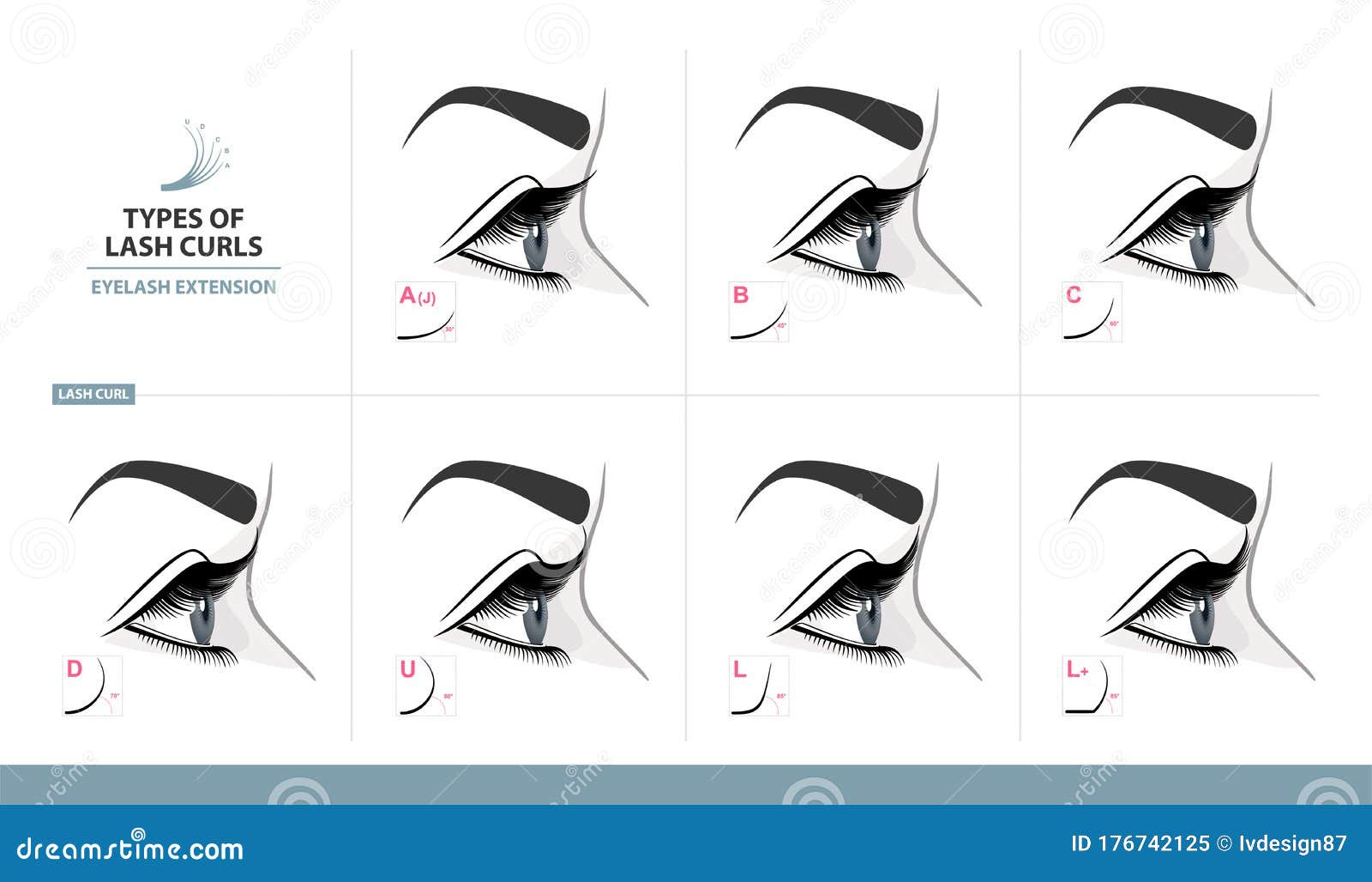 Types of Lash Curls. Eyelash Extension for Most Attractive Look. Woman Eye  with Long Thick Eyelashes. Side View Stock Vector - Illustration of model,  design: 176742125