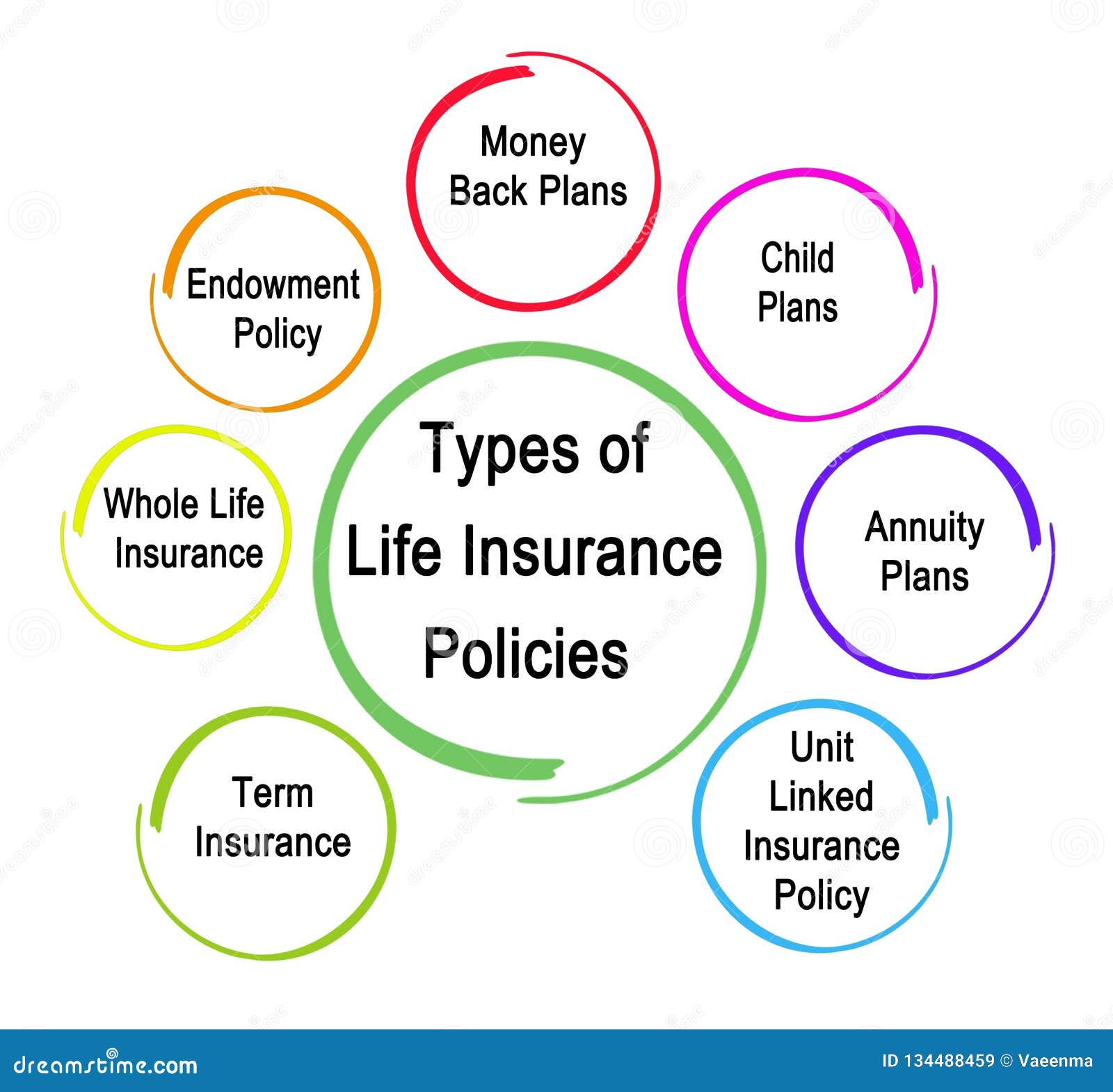 Types Of Life Insurance Policies Stock Illustration Illustration Of