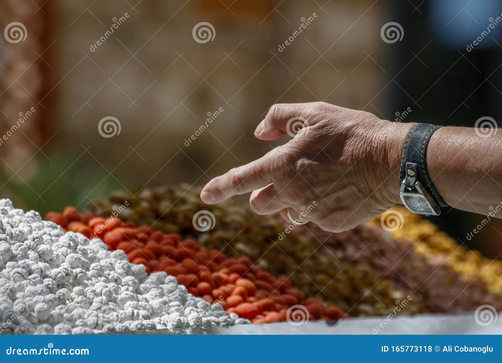 Types of Nuts and Exchange in Turkey Stock Photo Image of hazelnut