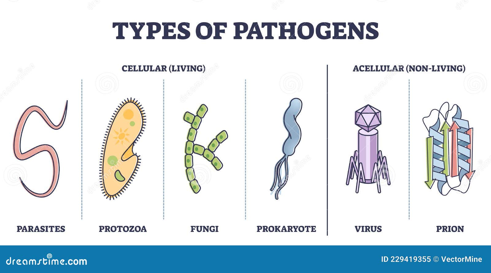 types of pathogens, cellular, and non living virus organisms outline diagram