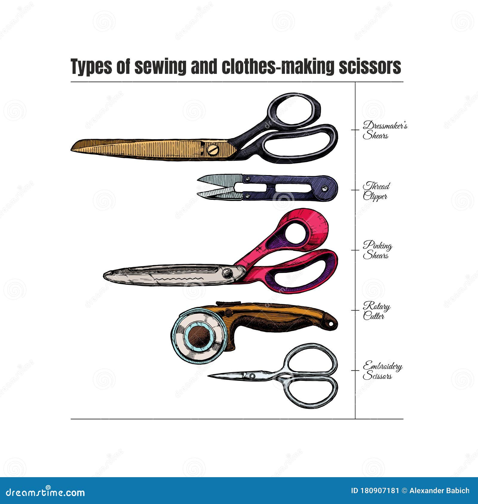 Types Of Sewing And Clothes Making Scissors Stock Vector Illustration Of Sewing Engraved 180907181