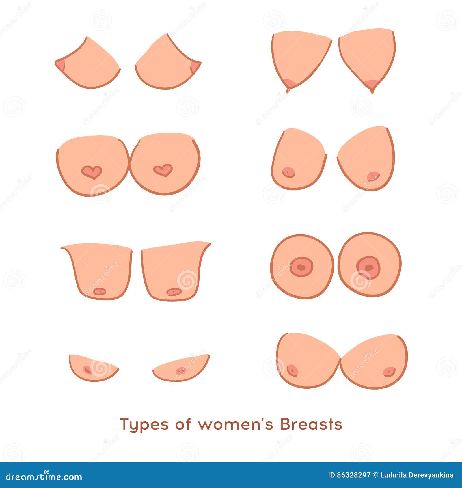 Types of Women`s Breasts. Women`s Breast Icon, Breast Icon Vector Stock  Vector - Illustration of chest, cute: 86328297